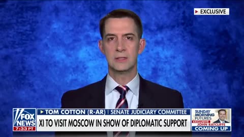 Sen. Tom Cotton: This is Biden's failure 'all the way down'