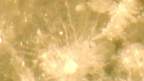 Very clear zoom-in of the Full Moon