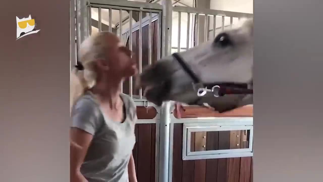 Funniest animals in 2023