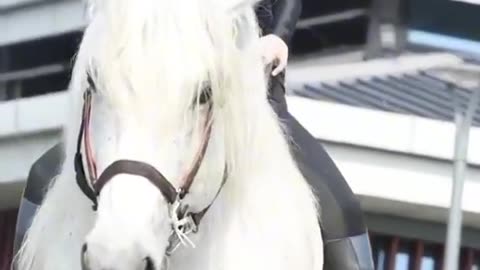 🐎 Riding