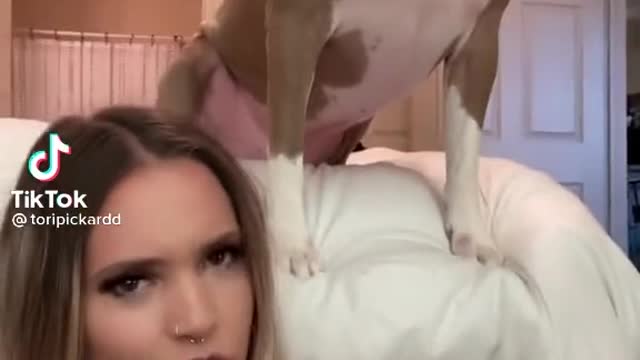 Stahpmom