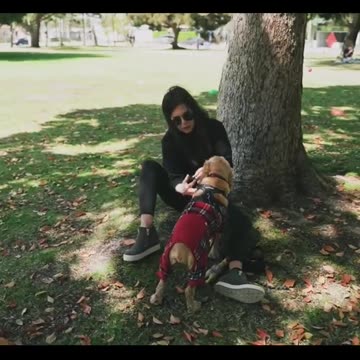 Dogs training hard😢😩😱😱