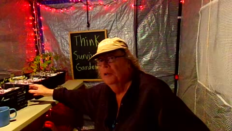 Out in the greenhouse tonight 5/11/23: