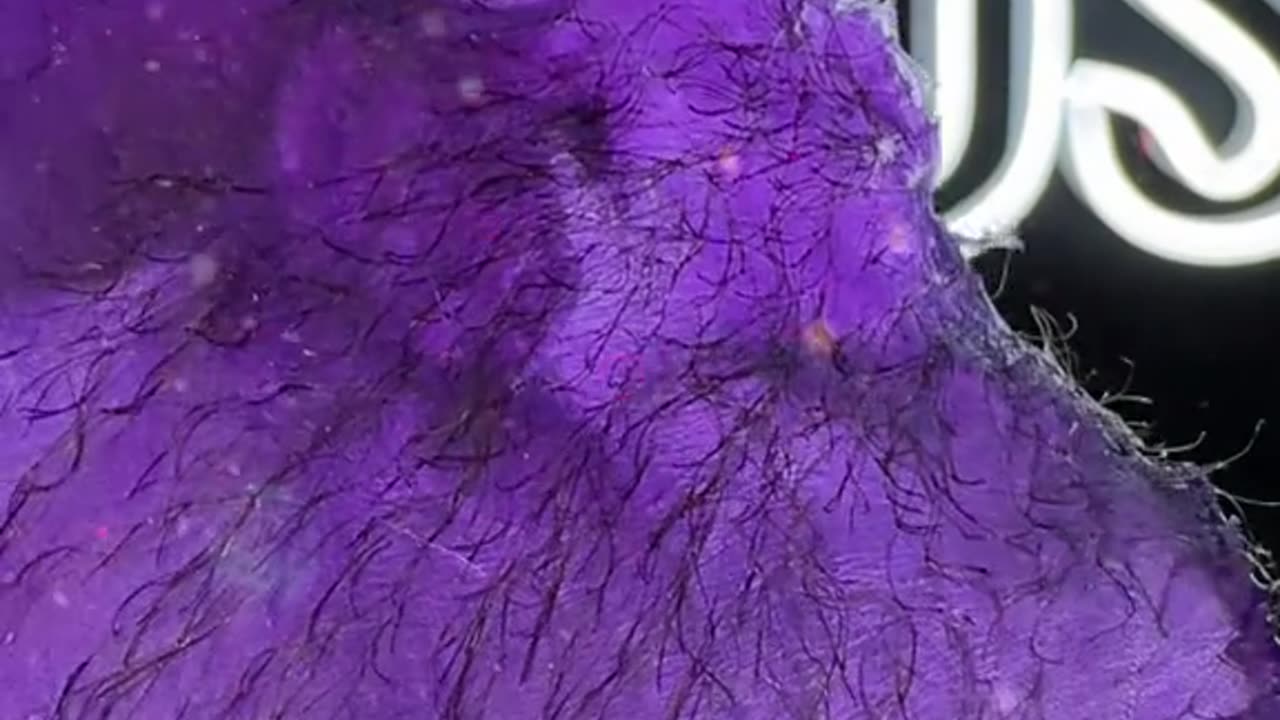 Hair Removal with Sexy Smooth Purple Seduction Hard Wax by @skin.boss_