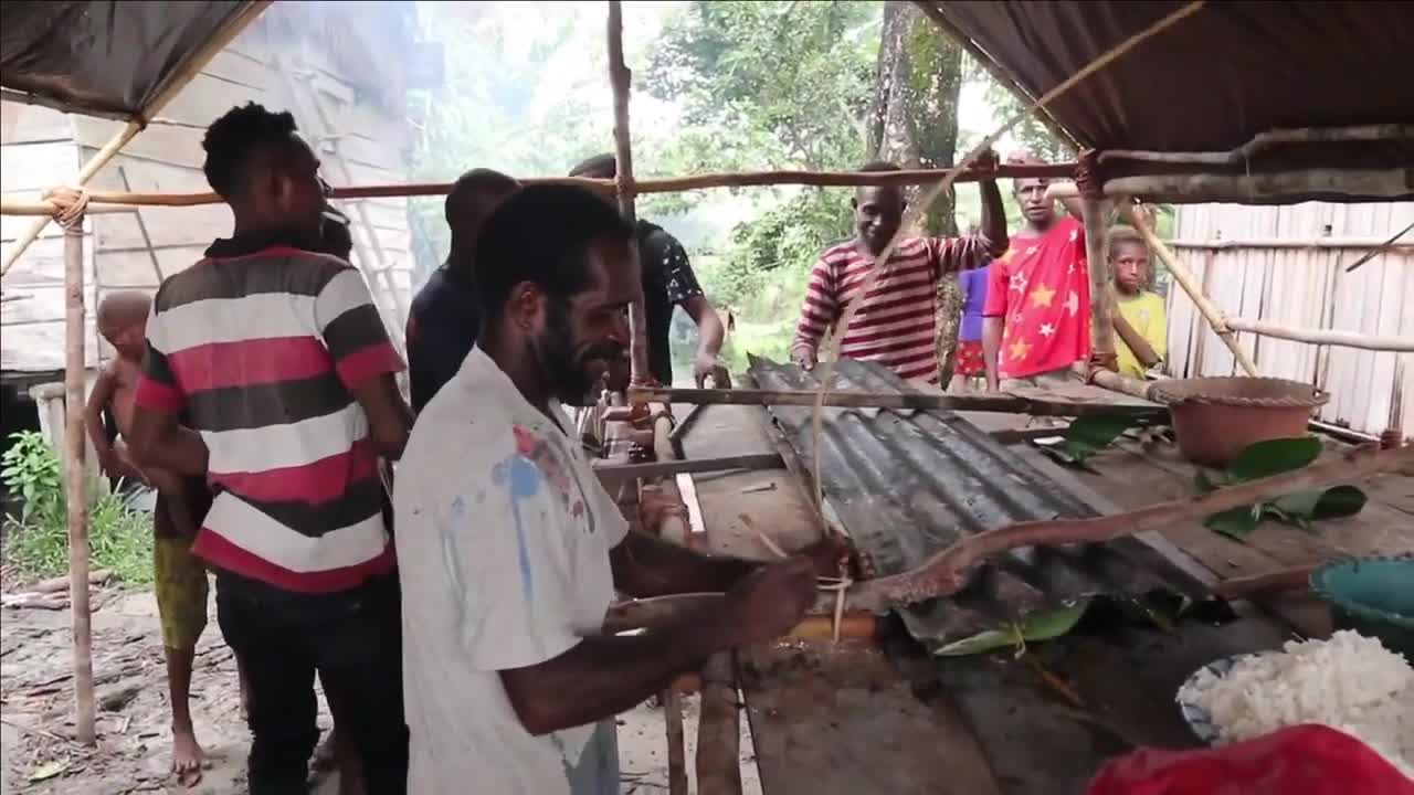 The Papuan Tribe's Preparation of Yearly Celebration in Papua North Asia