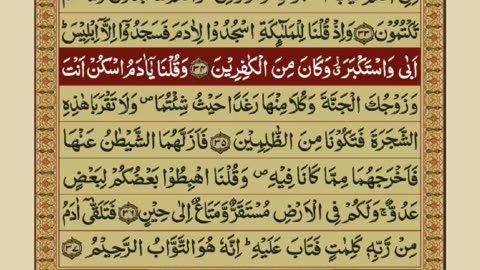 Quran 1 para with urdu translation “part 19„