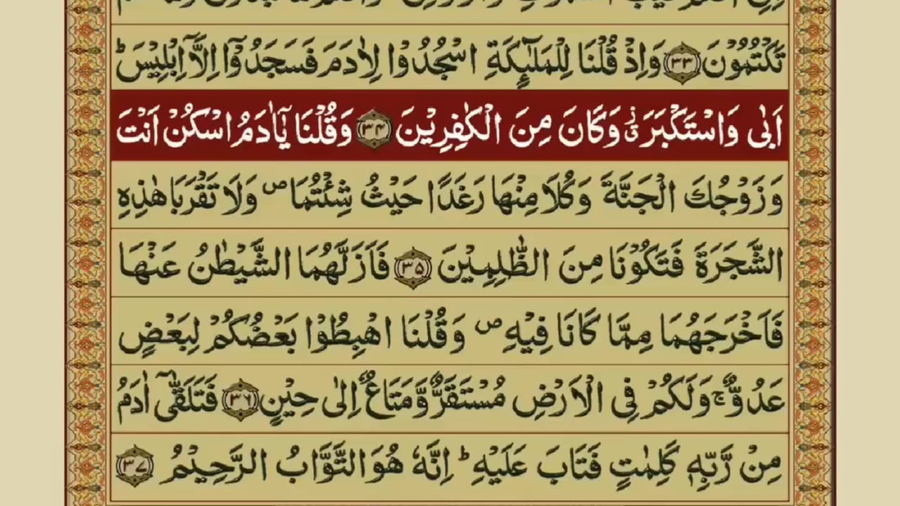 Quran 1 para with urdu translation “part 19„