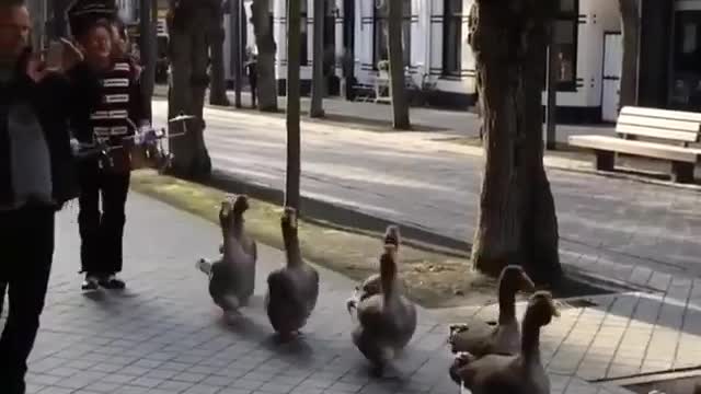 marching