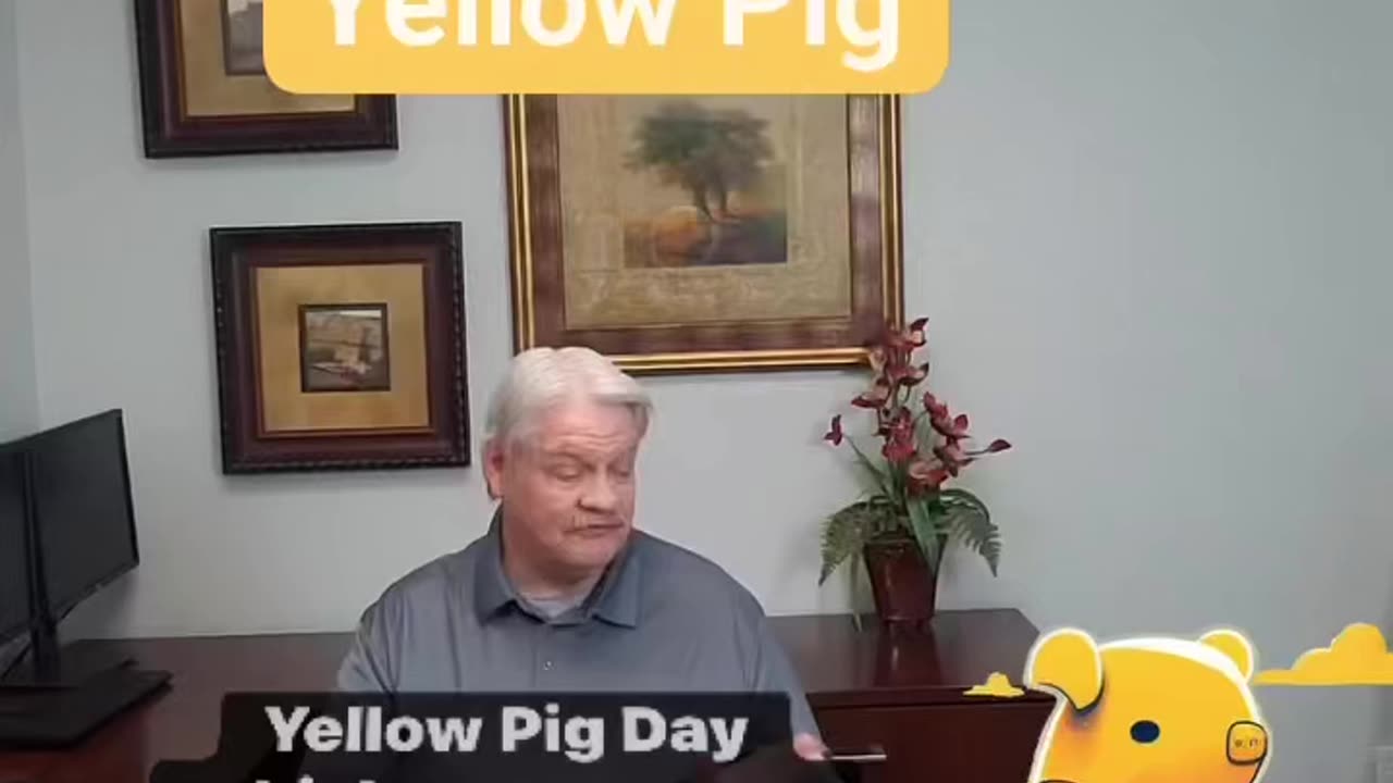 YELLOW PIG