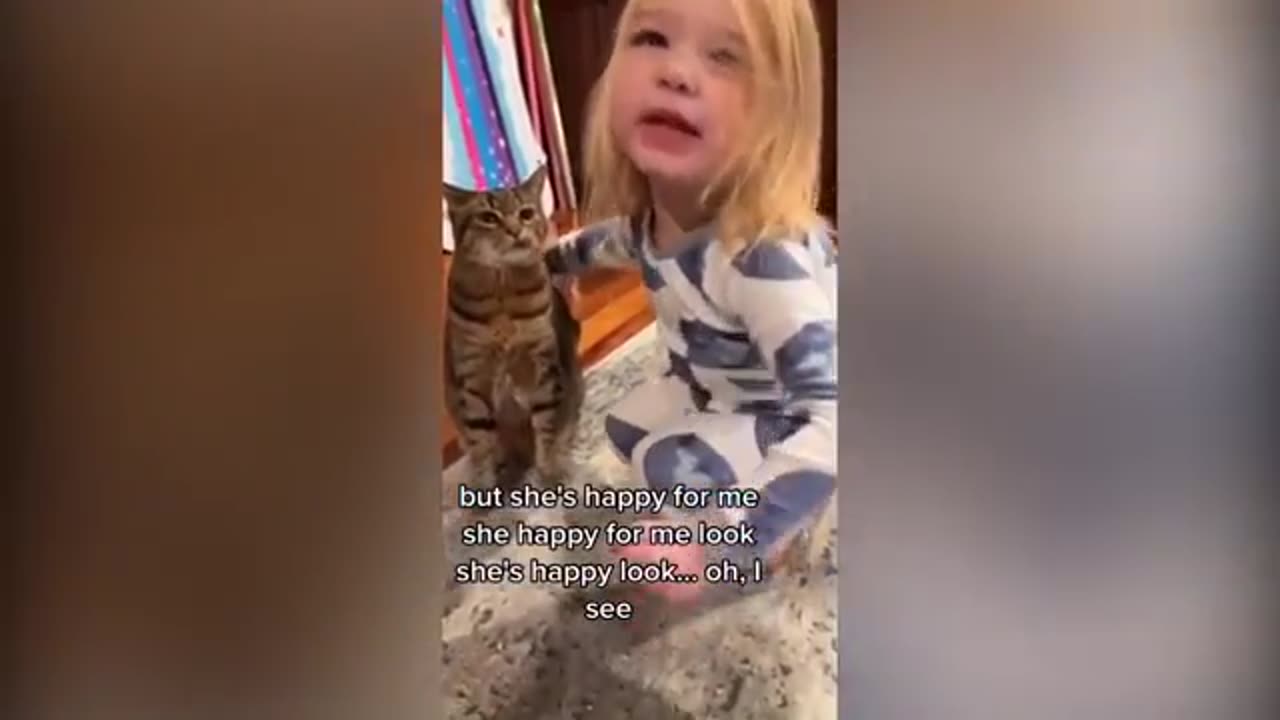 Try Not To Laugh 🤣 New Funny Cats Video 😹 - MeowFunny