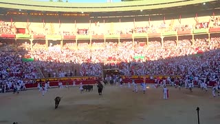 Five injured on day seven of San Fermin bull run