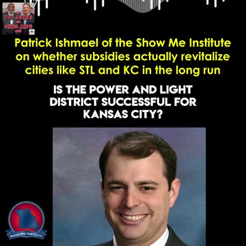 Do Subsidies Revitalize Cities In the Long Run?