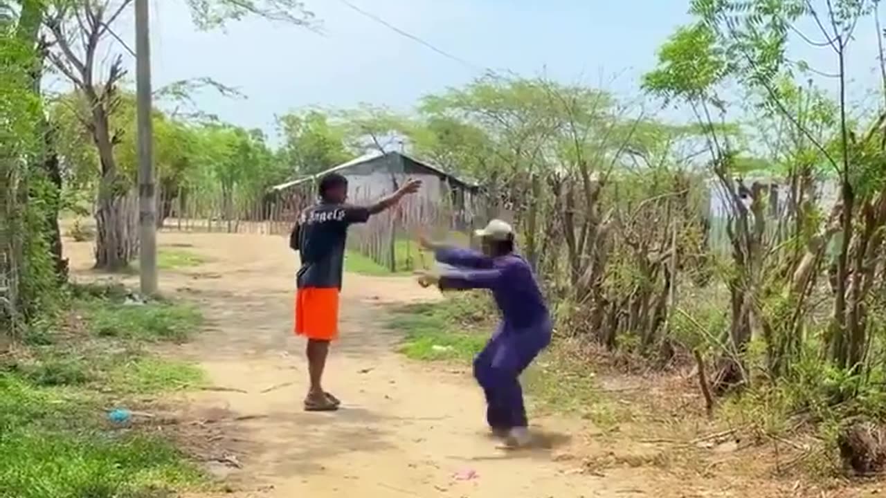 Prank lion in road