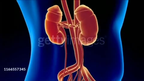 कुछ ऐसे fact जो आप बिल्कुल नहीं जानते #short virelvideo