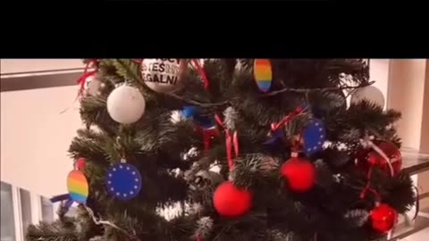 Dotarło do was o co walczył Braun ? ‼️