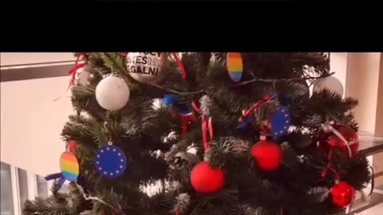 Dotarło do was o co walczył Braun ? ‼️