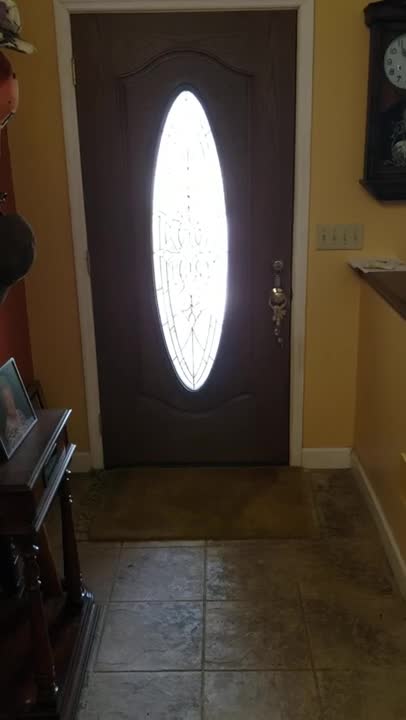 Goldendoodles demanding attention 2.15.22