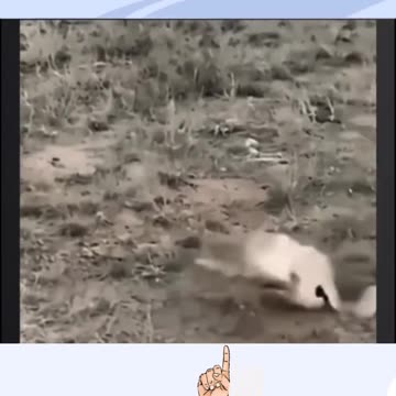 "Unraveling the Enigma: A Journey into the Shadows of Mystery"