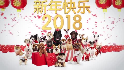 Happy DOG Year 2018 ! 新年快乐