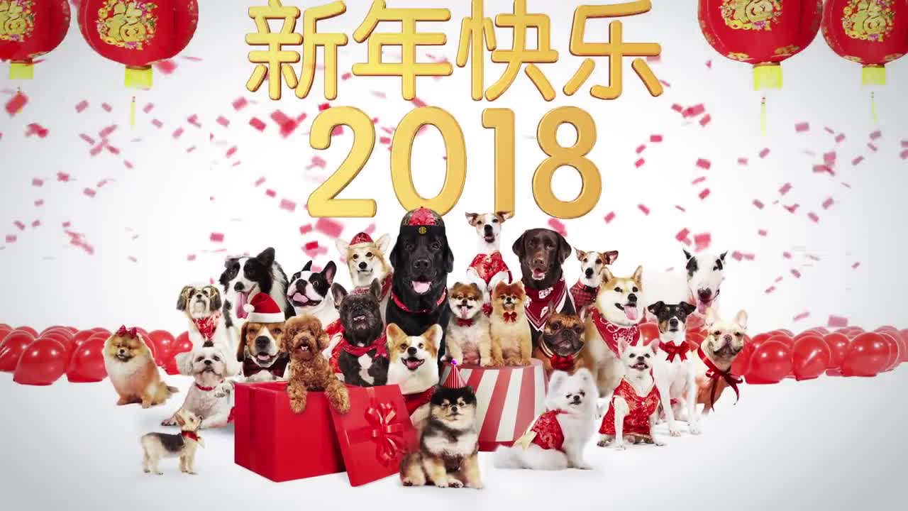 Happy DOG Year 2018 ! 新年快乐