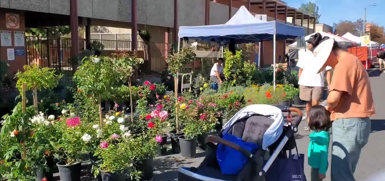 Local Farmer Market in CA