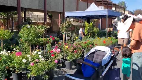 Local Farmer Market in CA