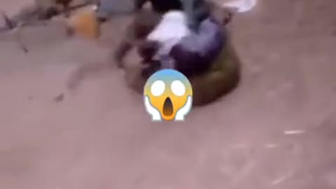 fun