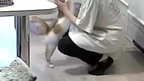 Lucy Familiar With Hugging