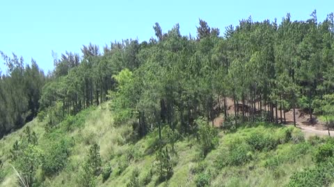 Wai'anae, HI — Kuaokala Trail