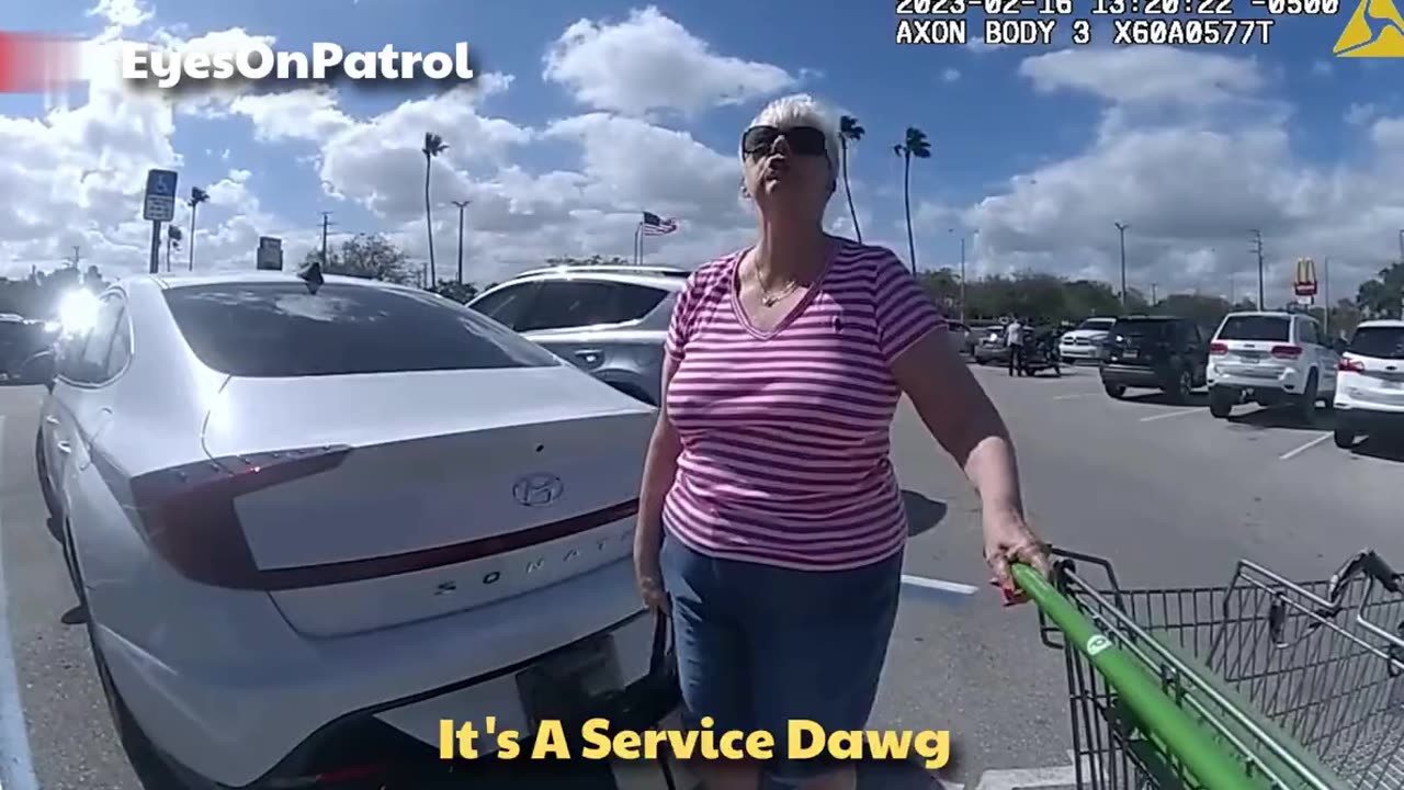 80yr Karen Gets Arrested