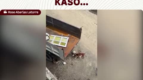 Drama moment