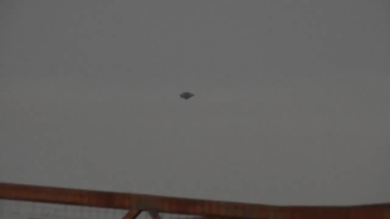 (7/7/2024) | UFO Sighted by Ground Based Observers in Brazil; Brazilian Air Force Says "No Explanation"