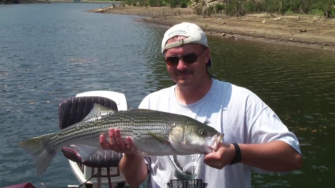 Net Man Blues - Great Day Fishing