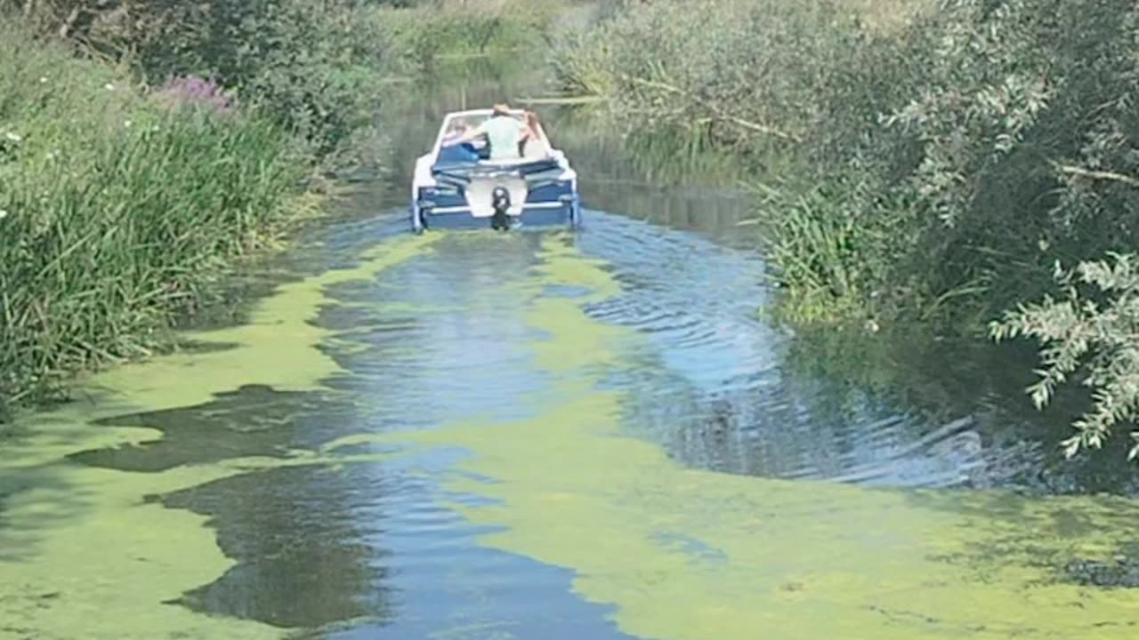 Essex on the river