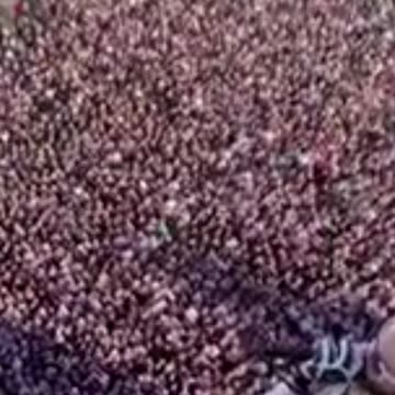 Jared Leto's gravity defying stunt leaping into his concert
