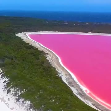 Lake Hillier a.k.a "Pink Lake", Middle Island, Australia