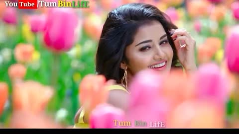 Aisa Deewana hua hai dil _whatsapp status video_Tum Bin LifE💕