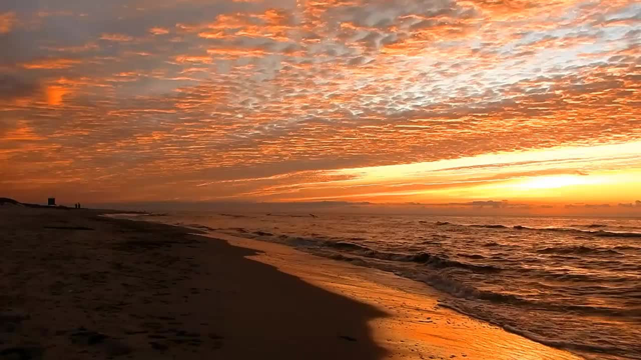 Beach sea waves