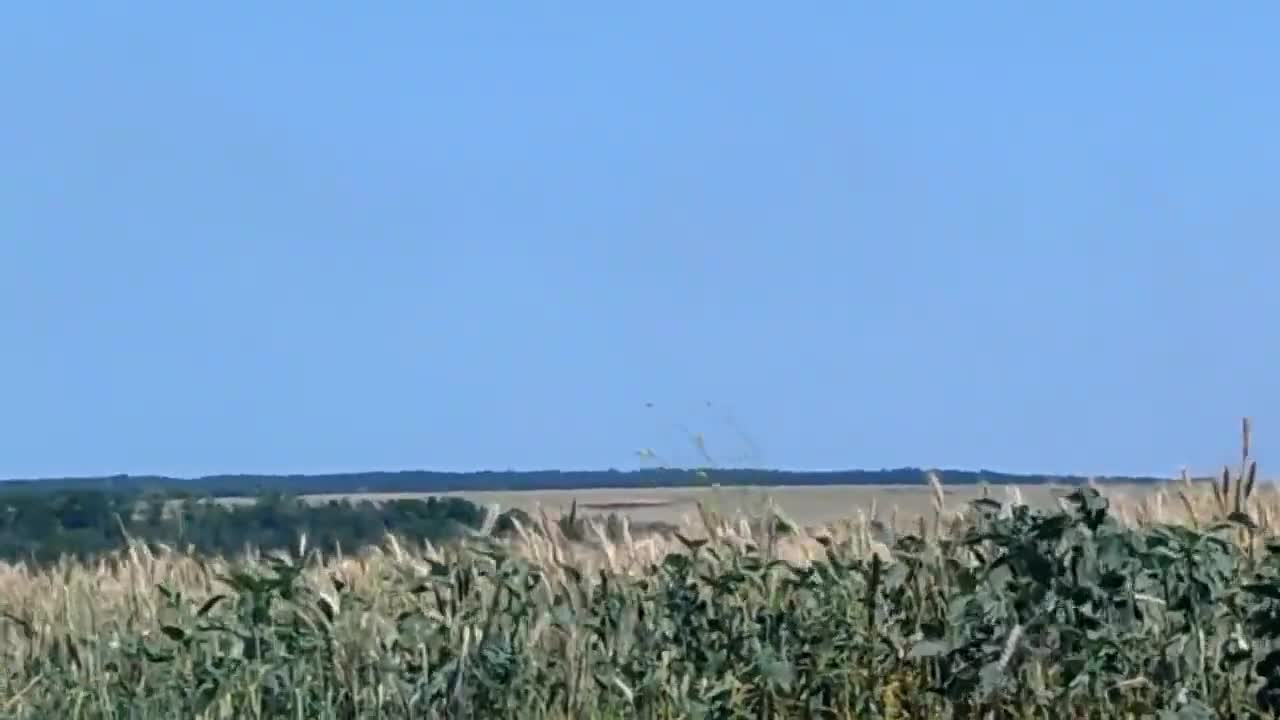 shot down the plane of the Russian