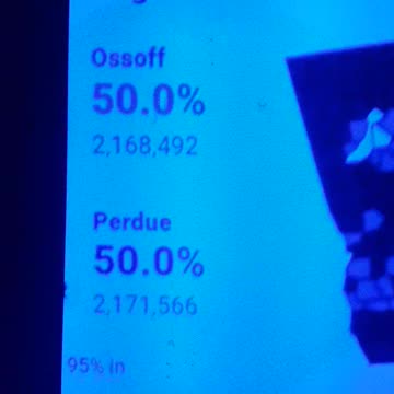 INTERNATIONAL WIDE ELECTION FRAUD VOTING MACHINE CRIME, GEORGIA RUNOFF SHAM ELECTION CRIME 169