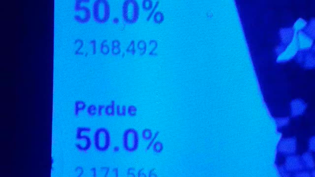 INTERNATIONAL WIDE ELECTION FRAUD VOTING MACHINE CRIME, GEORGIA RUNOFF SHAM ELECTION CRIME 169