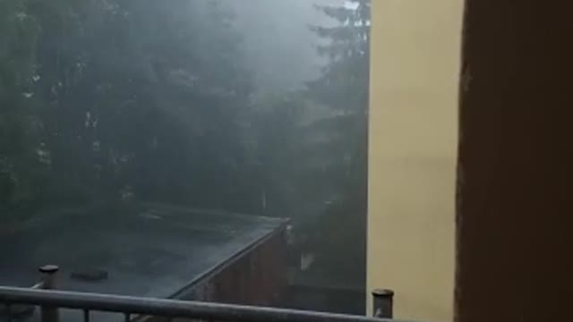 بنت مصر