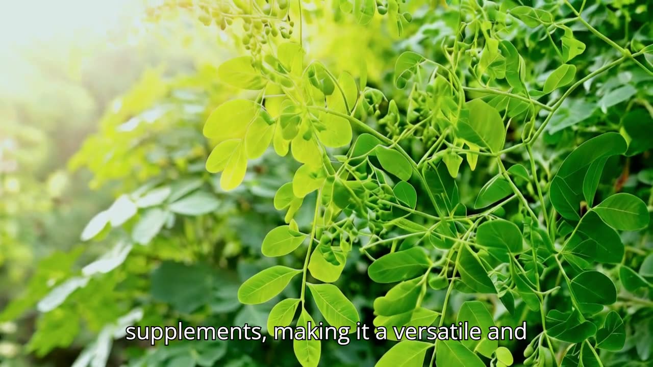 Why Moringa is the Healthiest Plant You Should Be Eating – Surprising Benefits