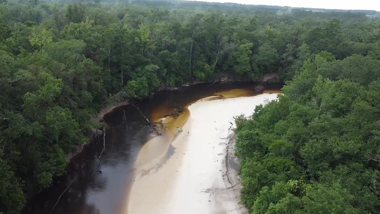 Escatawpa River Kayaking South Mississippi