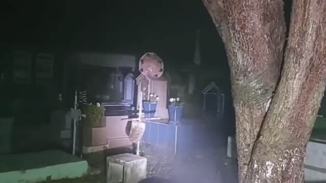 witch in the cemetery creepy video