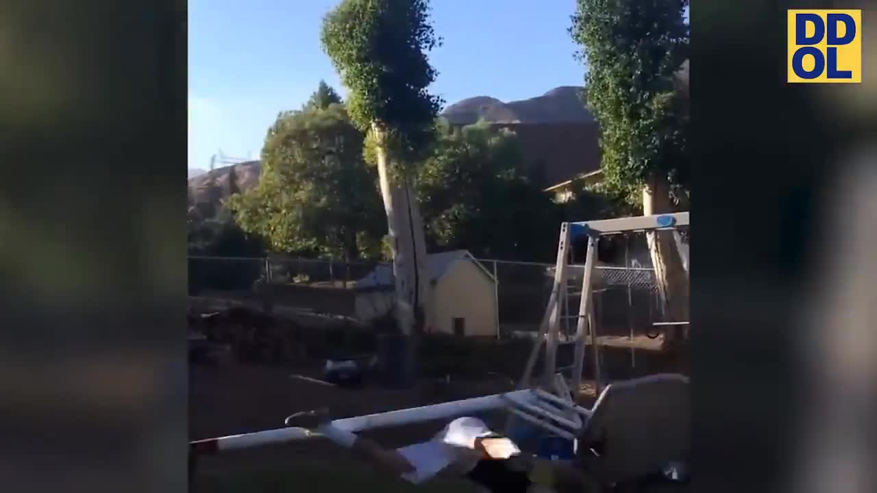 Funny video check it out