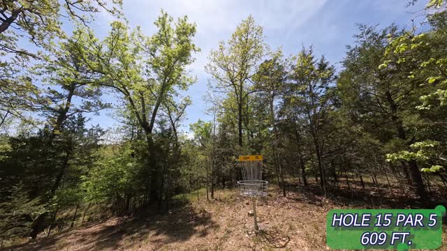 Hole 15 Cougar Lake