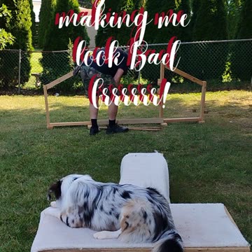 Platform Balance Beam Hurdle 6