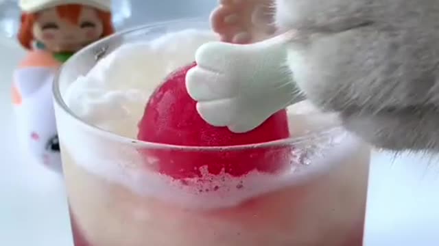 Super Chef Cat Makes Fruit Ice Cream