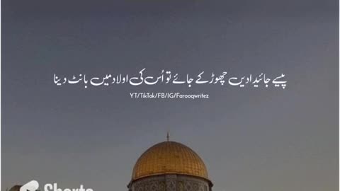 PALESTINE 🇵🇸 | Kya Samjhty Ho Palestine Lawaris Hai